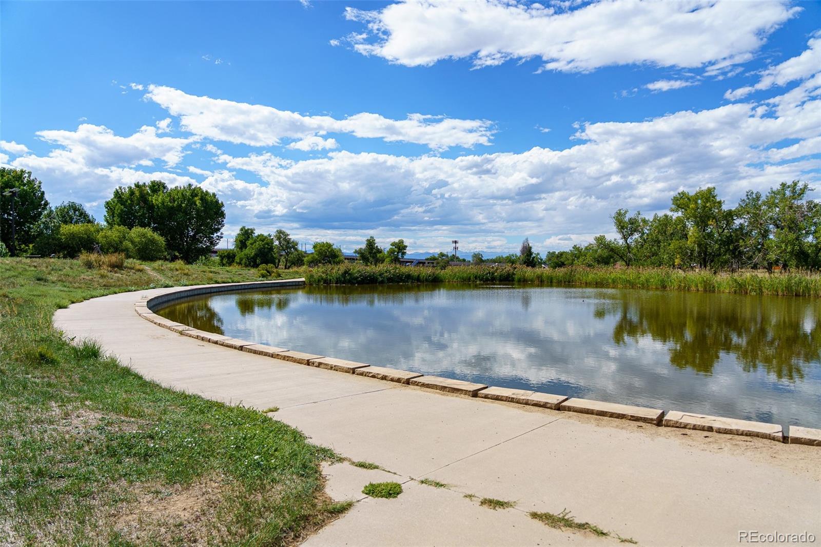 Pond bordered by a curved walking path, with reeds and trees beyond.