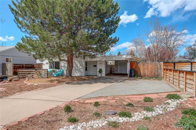 Single-story home with a covered carport, broad driveway, wooden fencing, and a large pine tree.