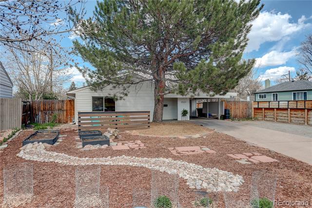 House backyard with a large pine tree, gravel landscaping, and a driveway beside the garage.