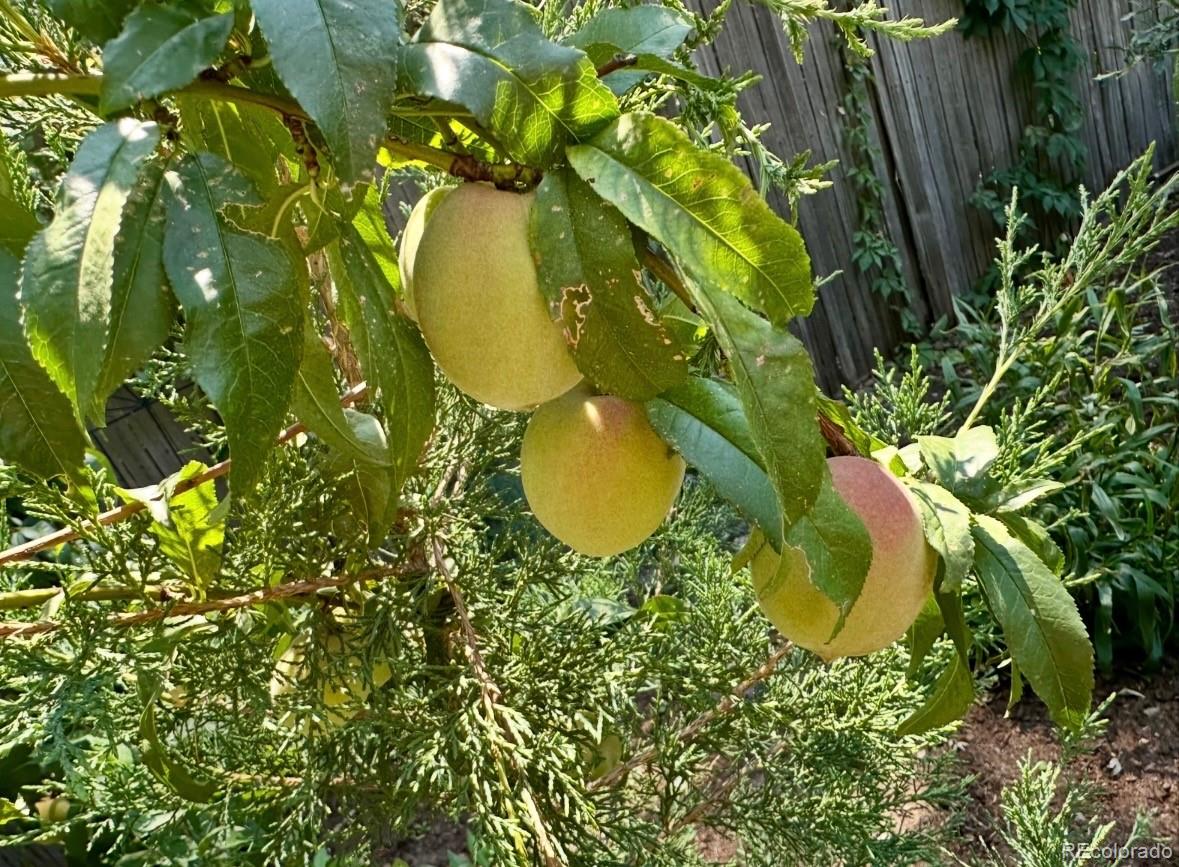 11956 E Oregon Circle