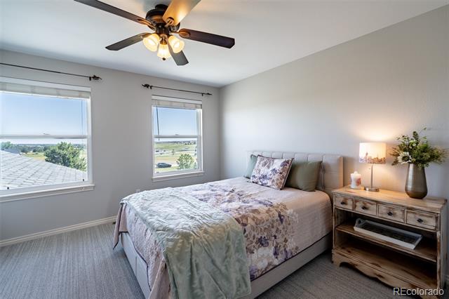 1434 Arabian Trail
