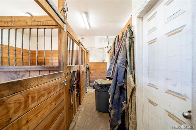 1434 Arabian Trail