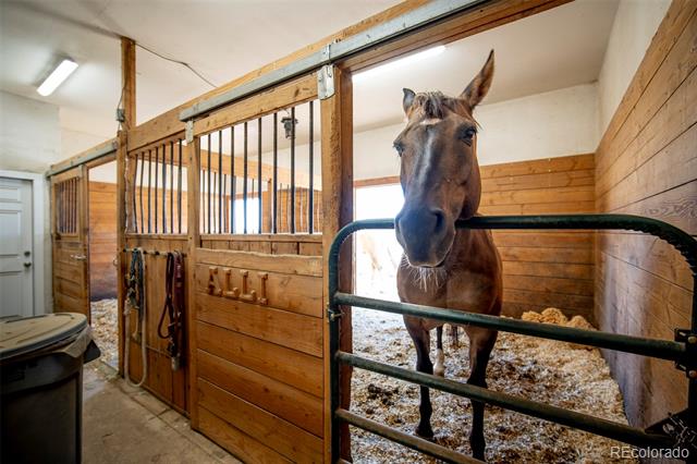 1434 Arabian Trail