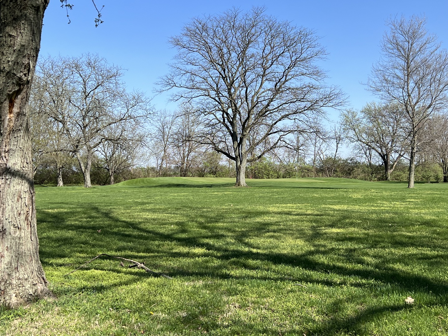 Lot 11 Elks River Estates