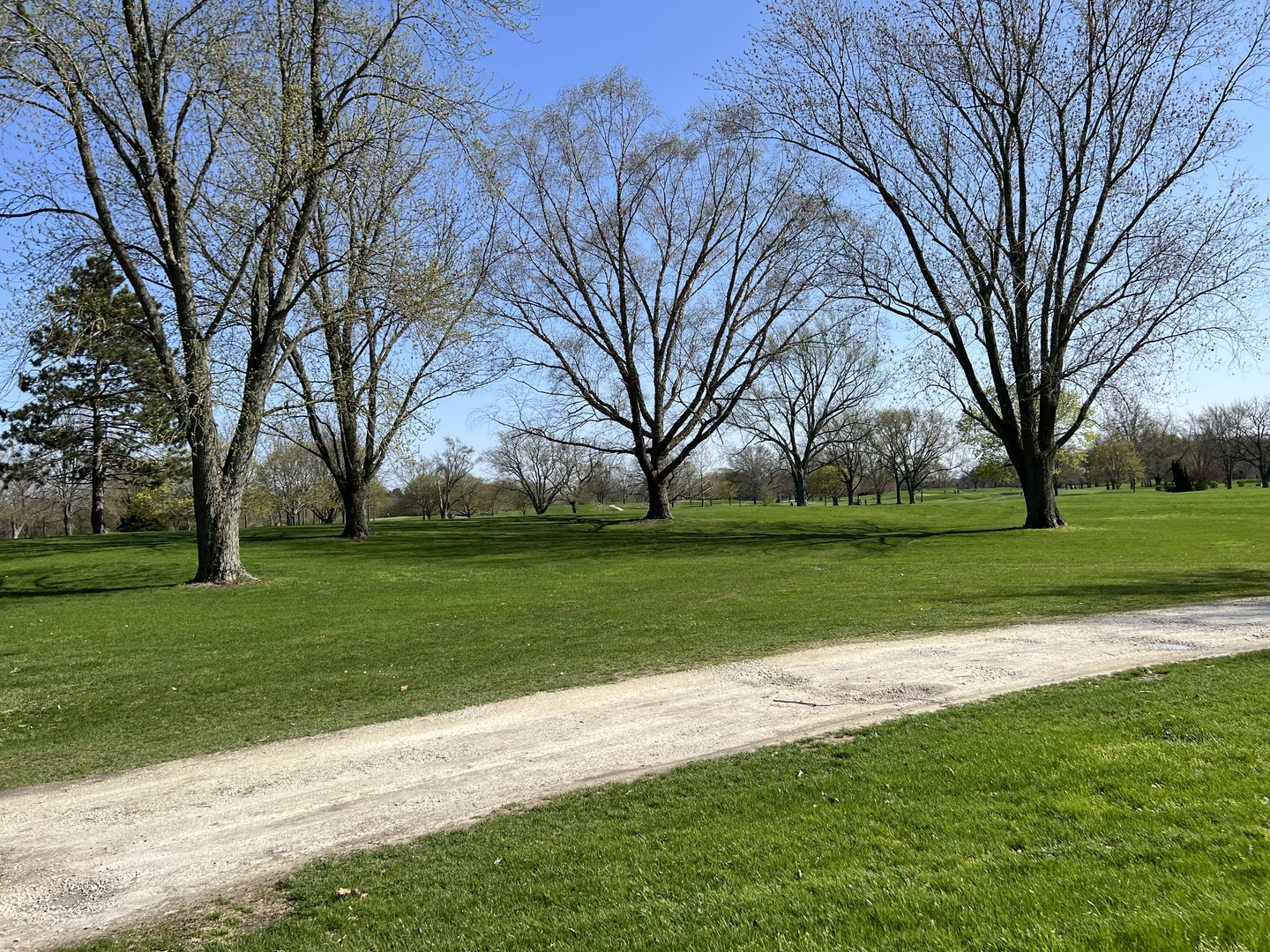 Lot 11 Elks River Estates