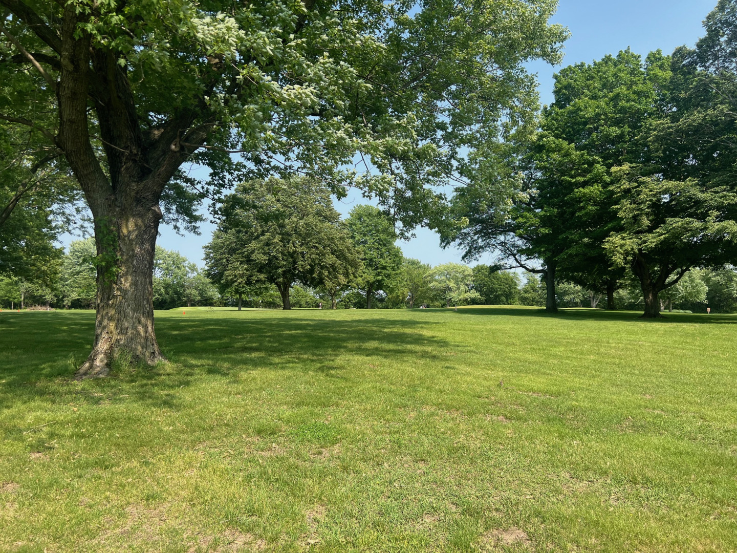 Lot 9 Elks River Estates