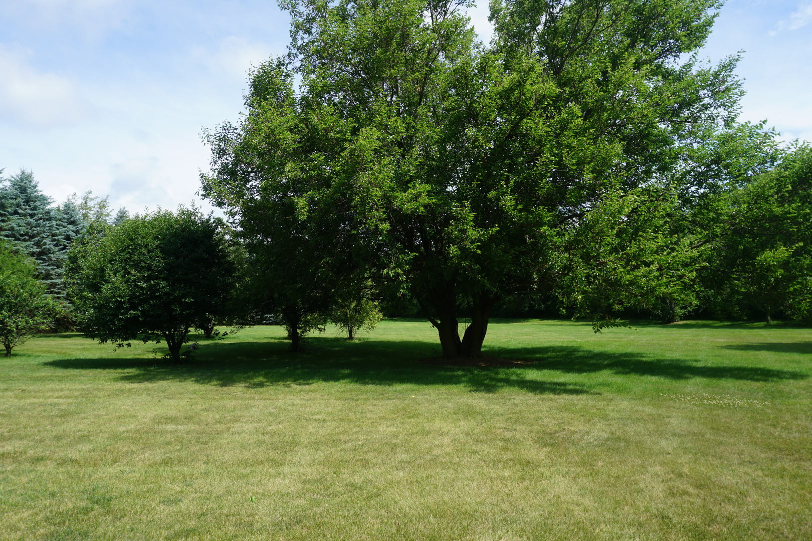 4914 W State Route 113