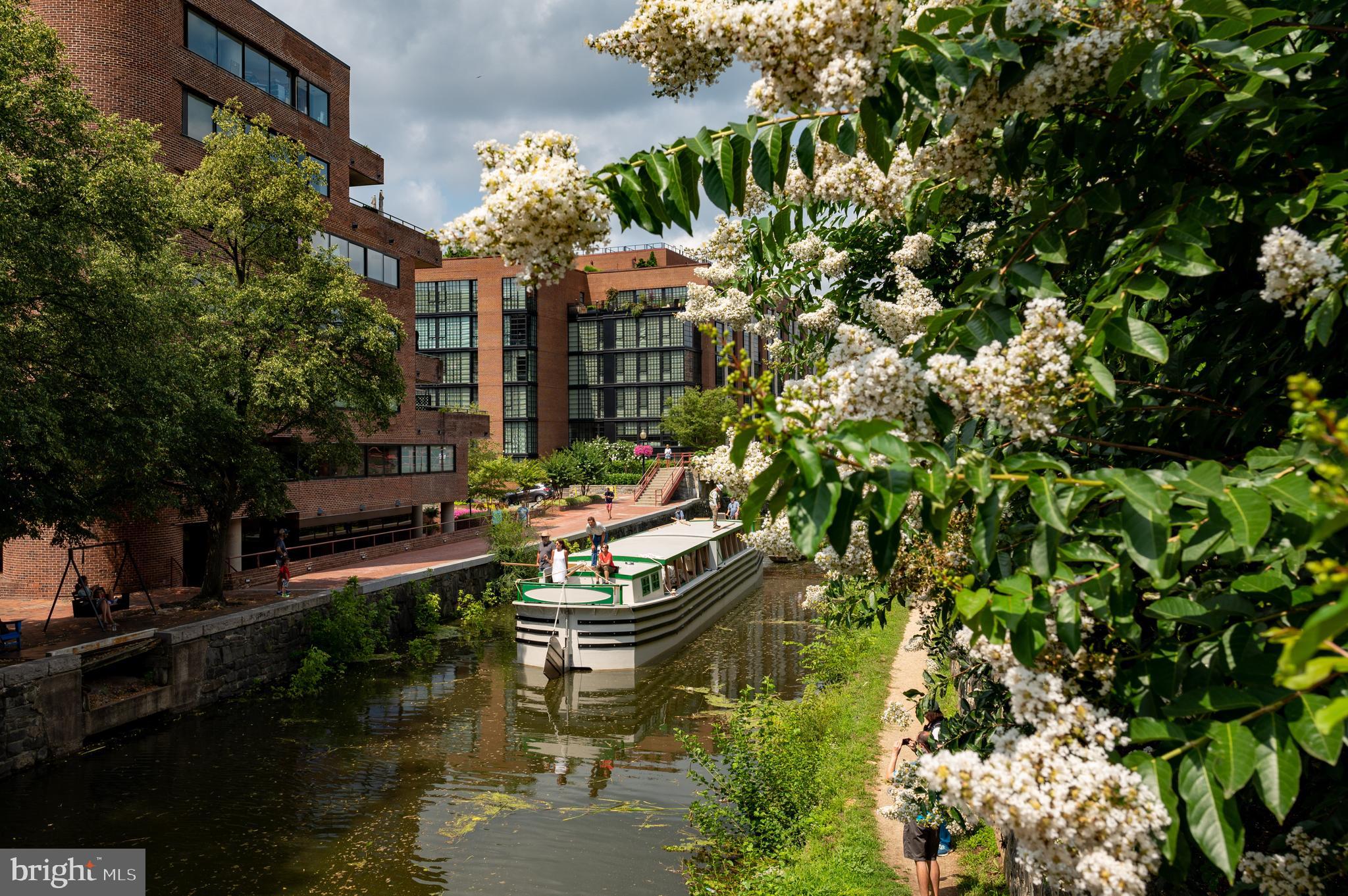 3303 Water St NW #6e