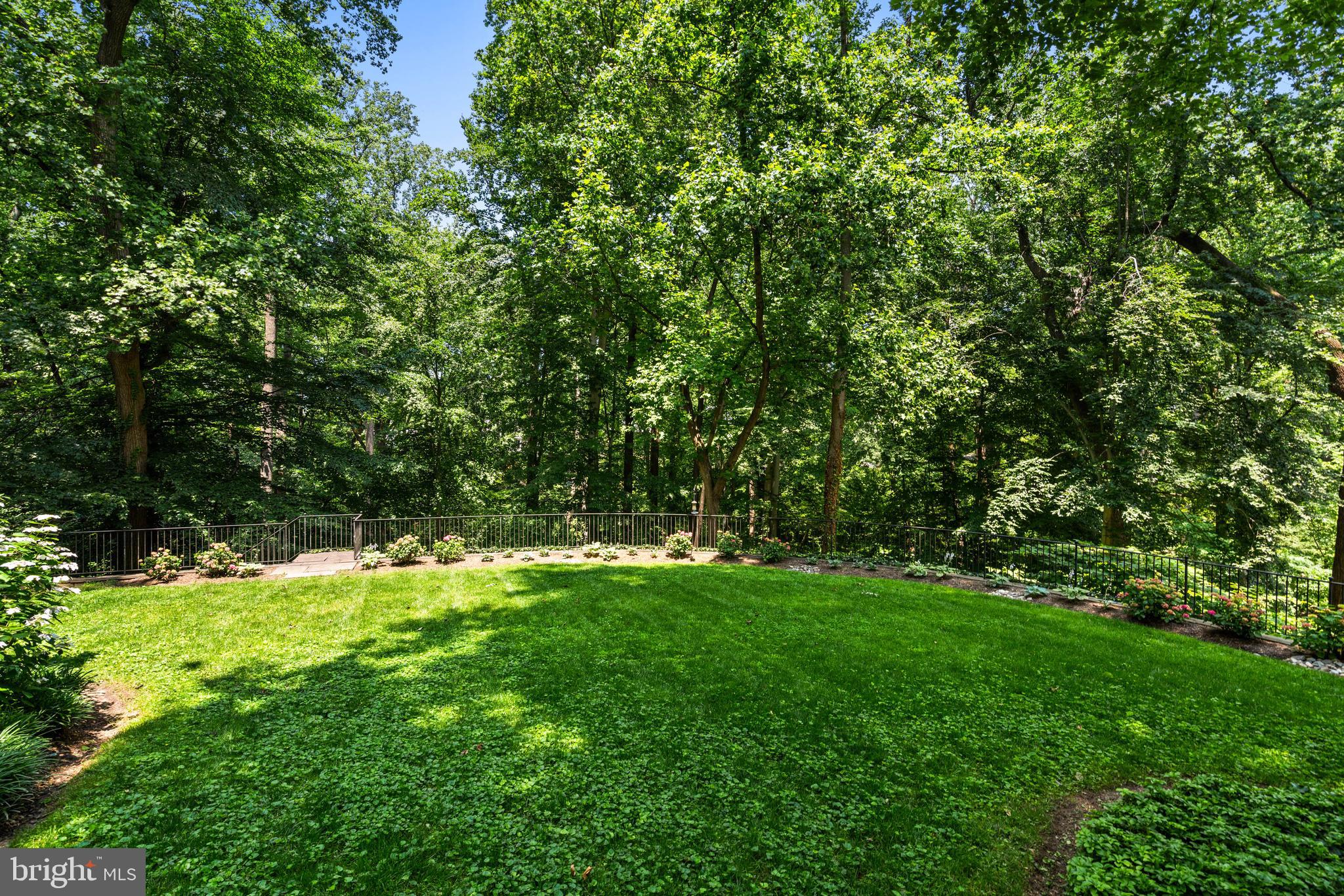 4641 DEXTER STREET NW