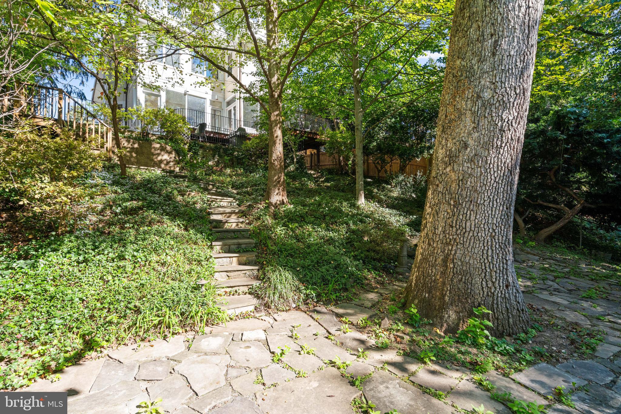 3214 NEWARK STREET NW