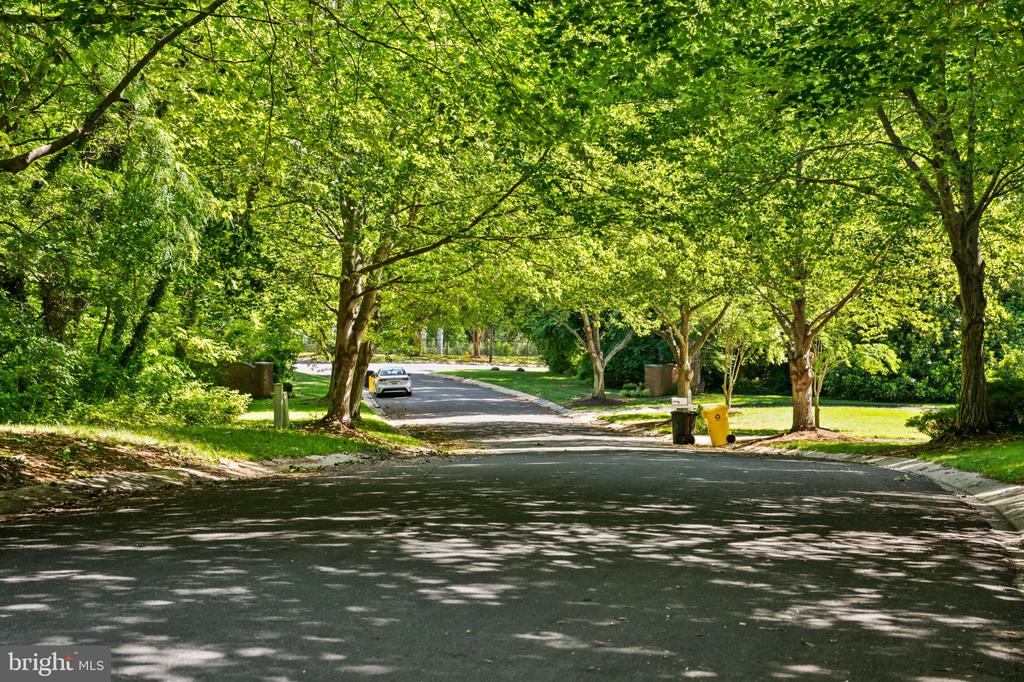 234 MEADOWGATE DRIVE