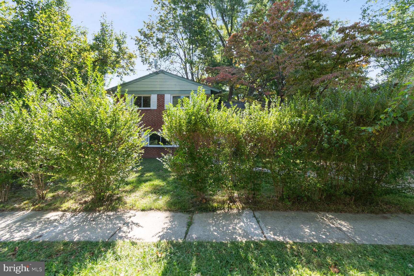 1306 CADDINGTON AVENUE