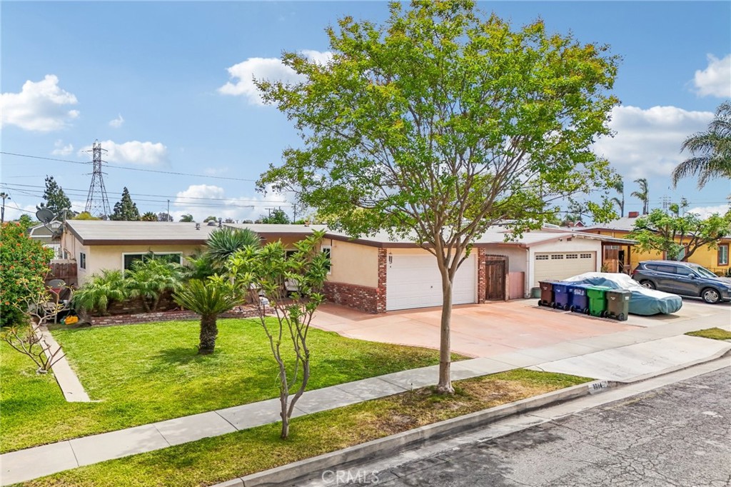 8014 Clarinda
