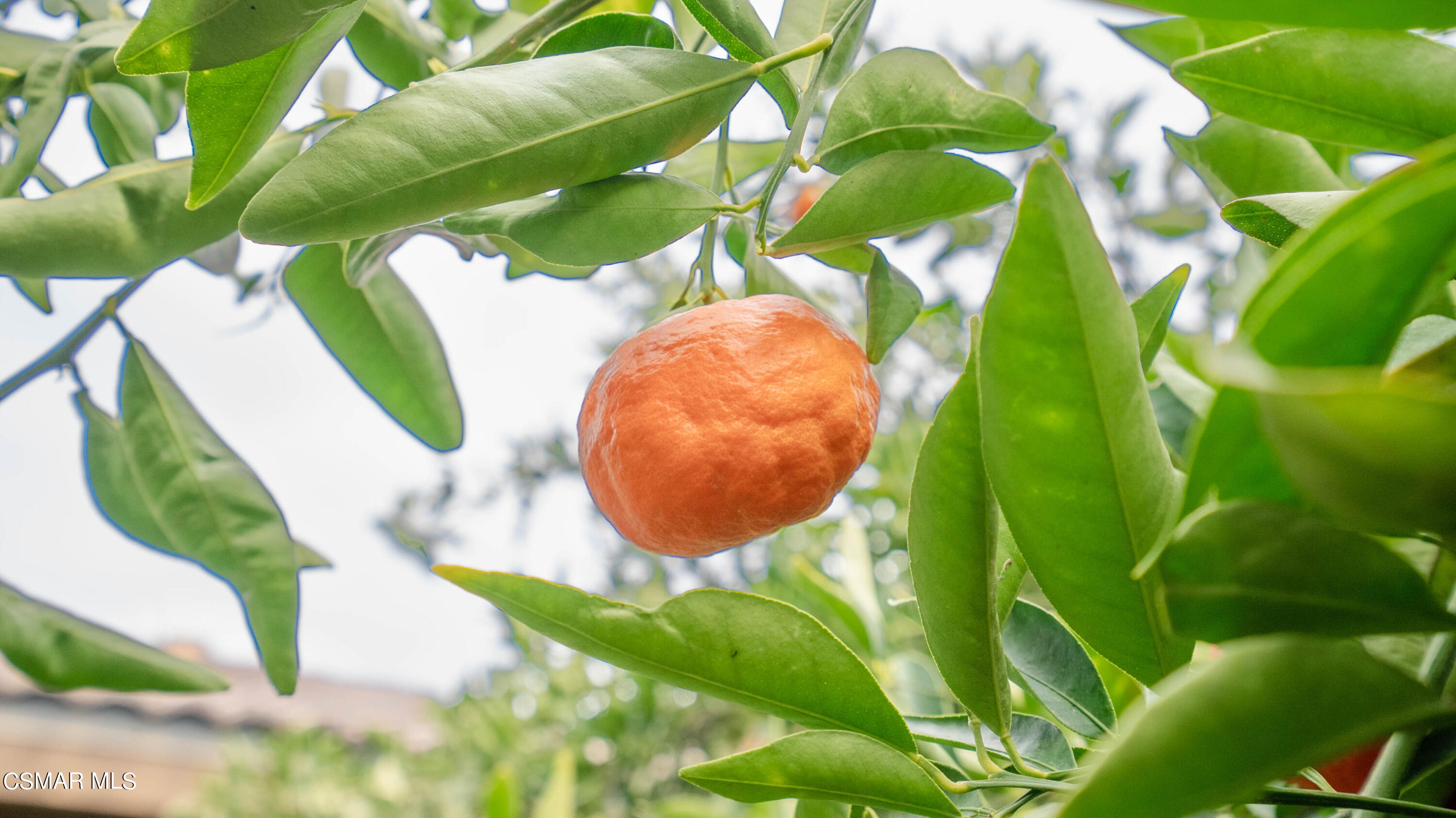 10613 Villa Hermosa Drive