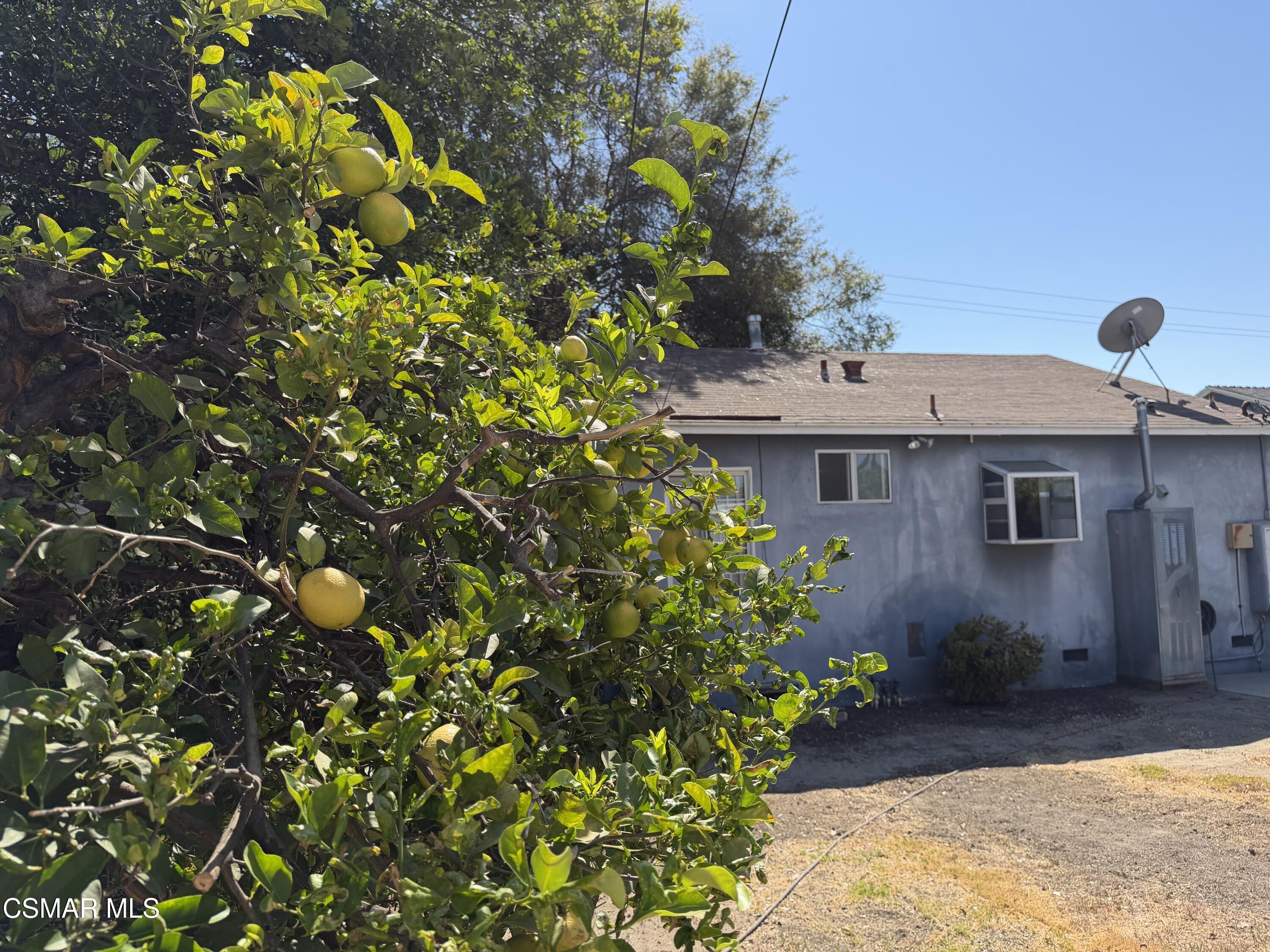 8847 Lindley Avenue