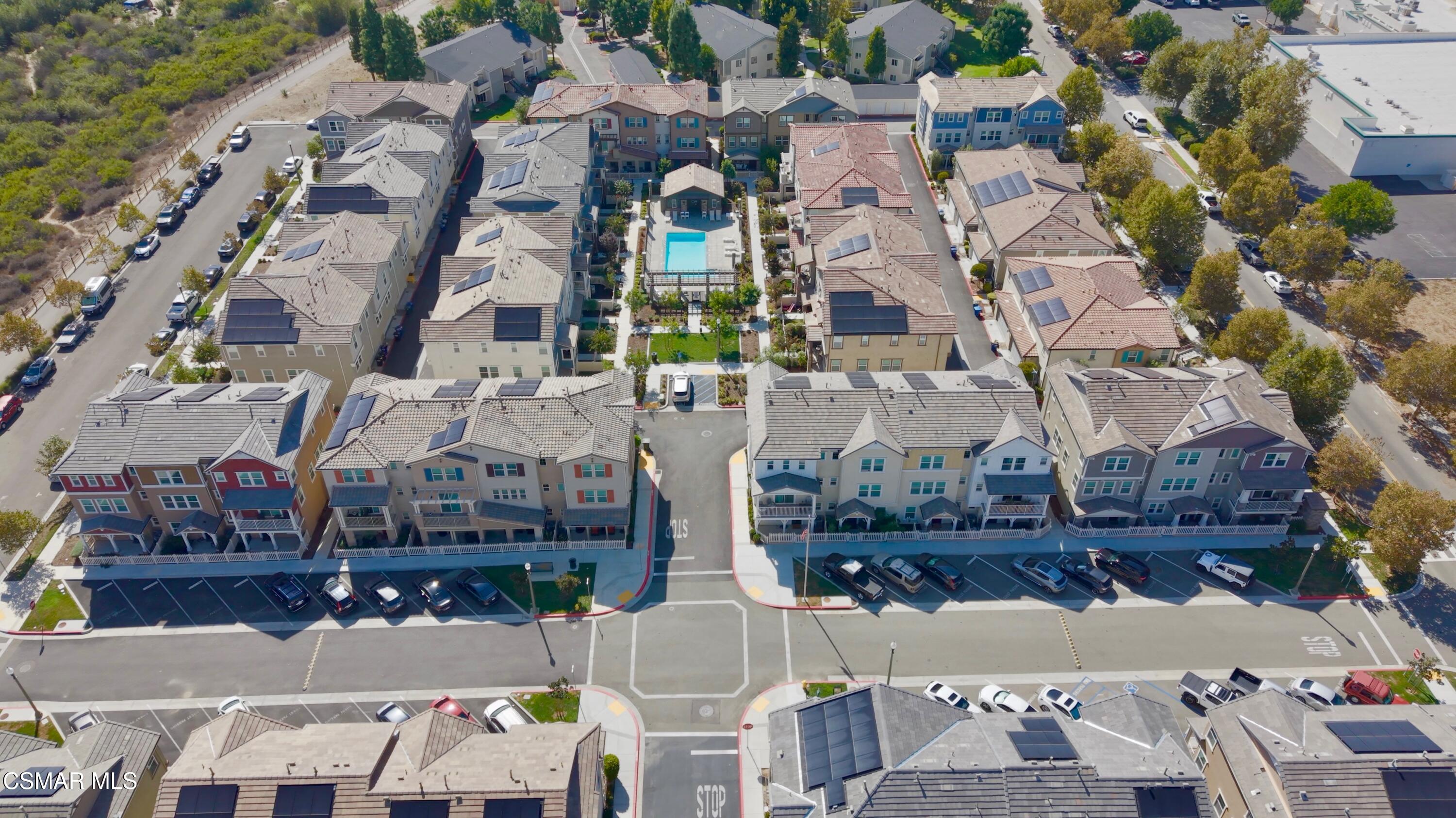519 Coconut Lane