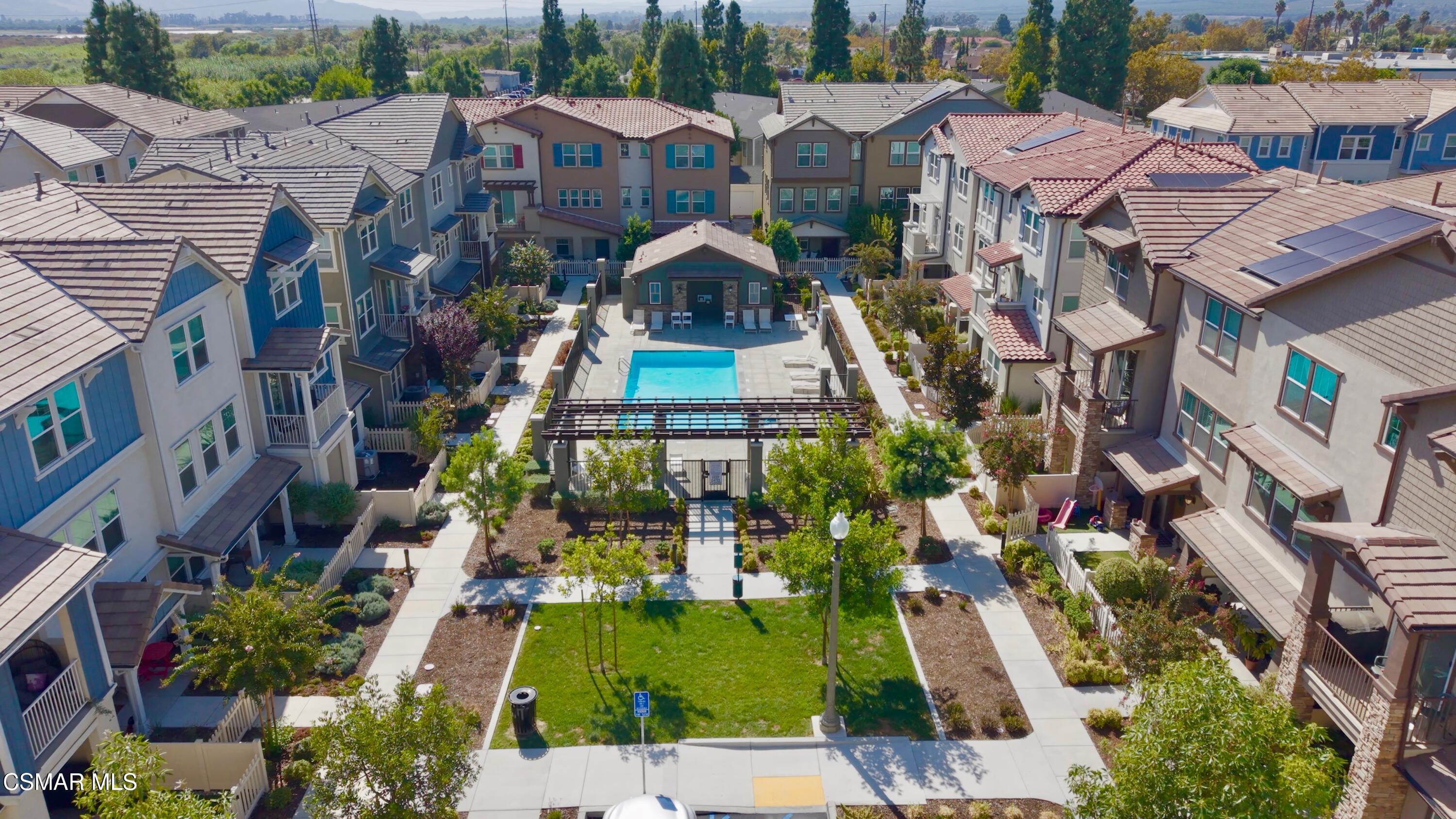 519 Coconut Lane