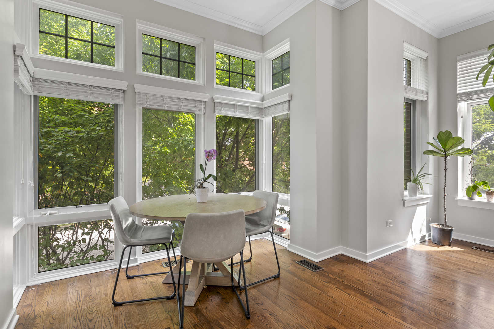 1701 W George Street Unit: 62