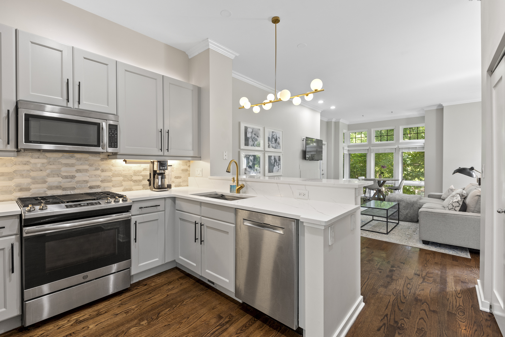 1701 W George Street Unit: 62
