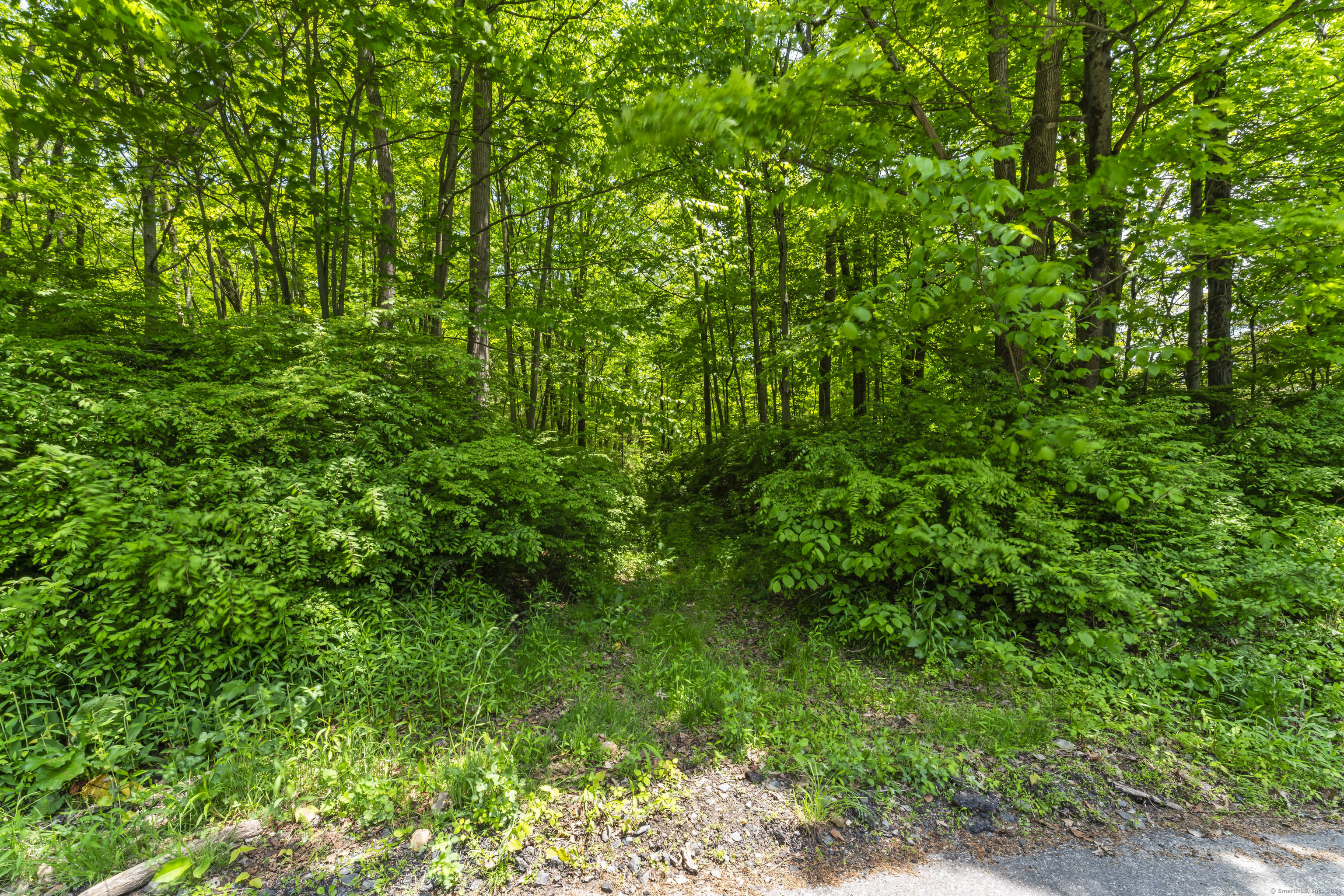 52 Rabbit Hill Road