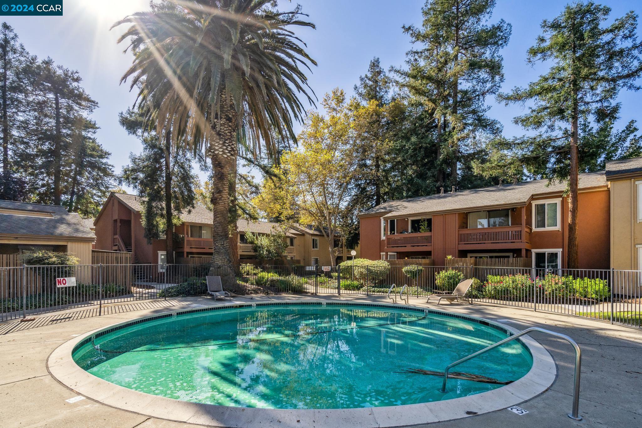 3055 Treat Blvd # 31