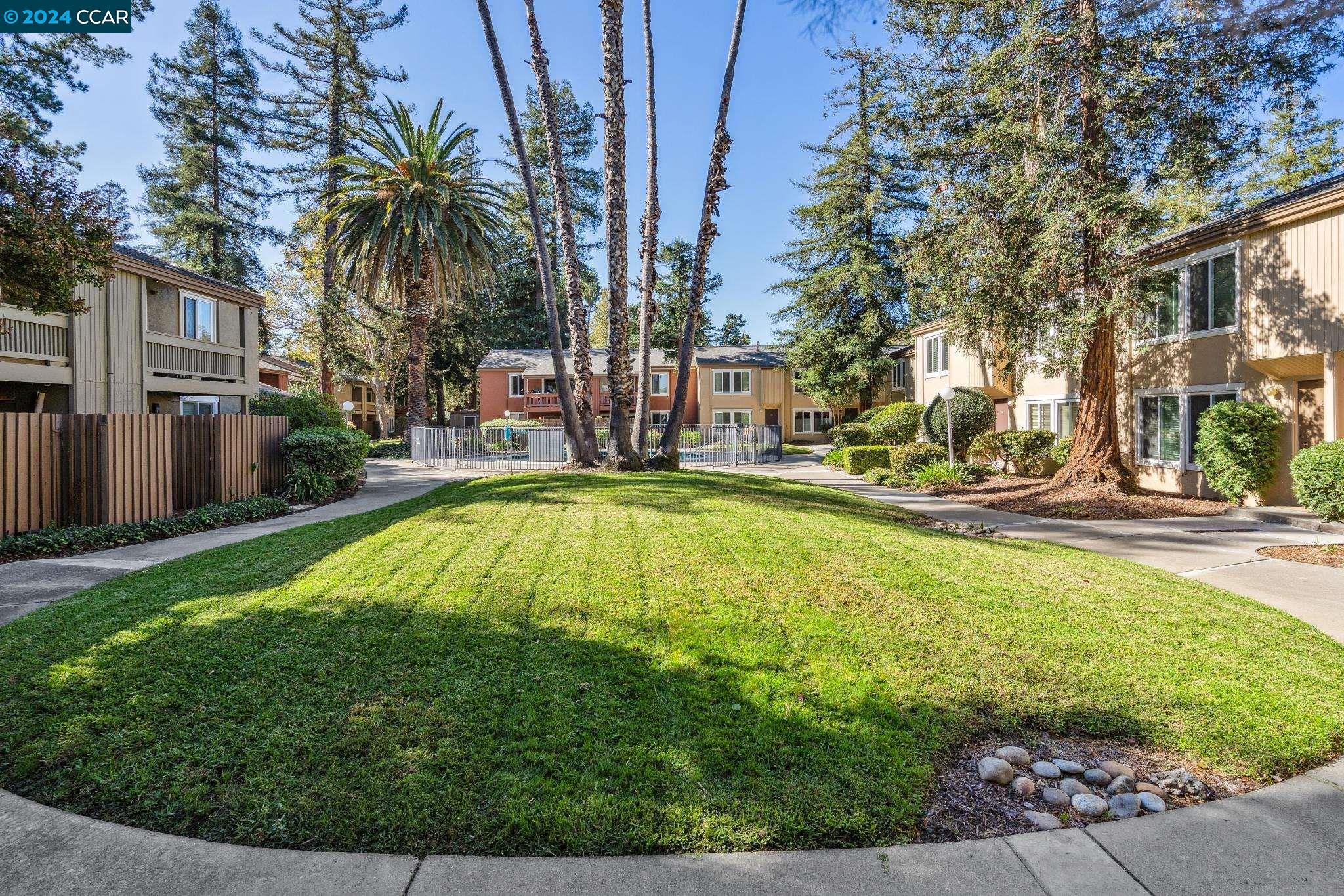 3055 Treat Blvd # 31