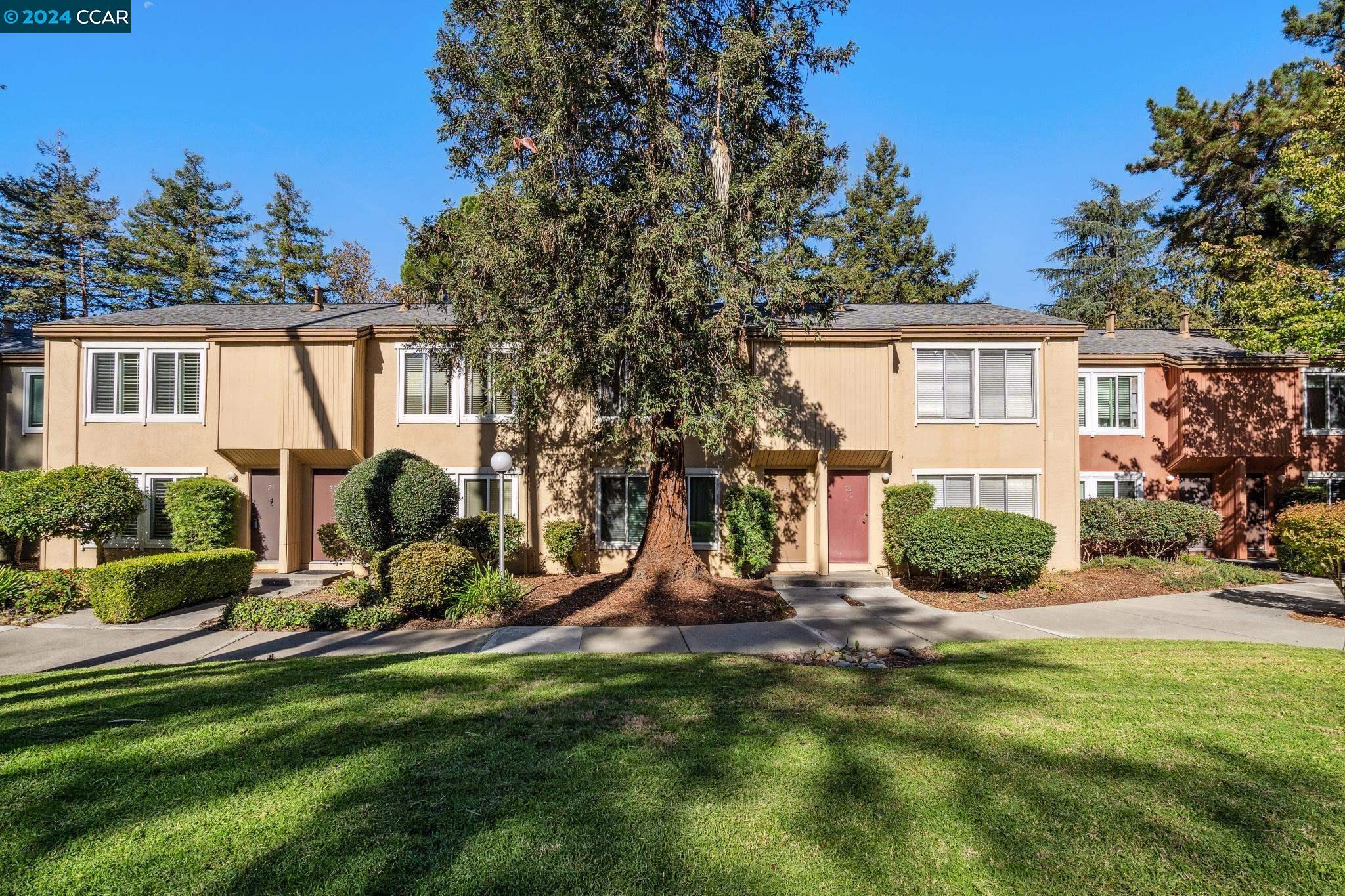 3055 Treat Blvd # 31