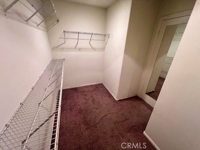 35684 Baneberry Lane