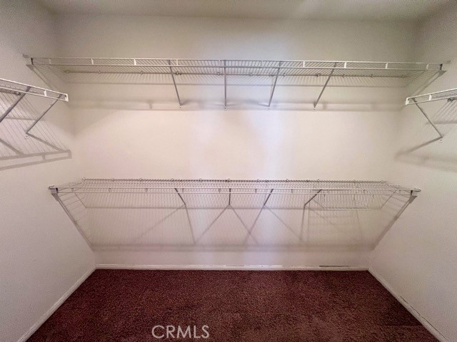 35684 Baneberry Lane