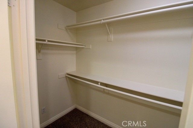 30062 Snow Peak Court