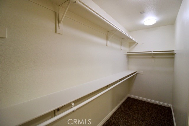 30062 Snow Peak Court