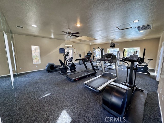 26314 Arboretum 3804