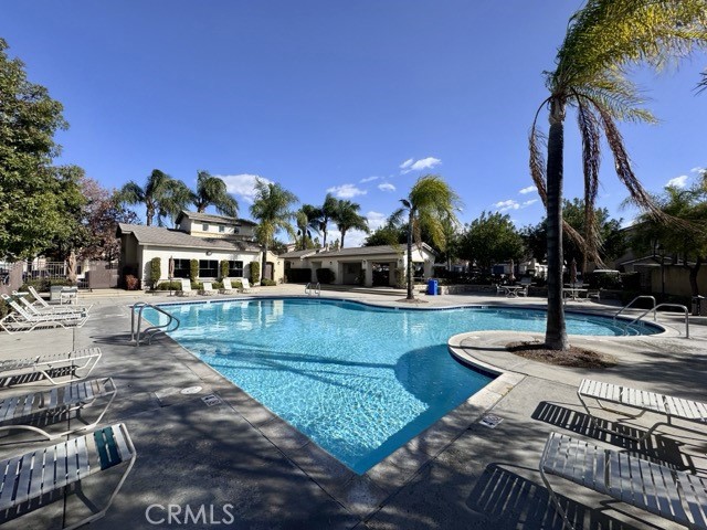 26314 Arboretum 3804