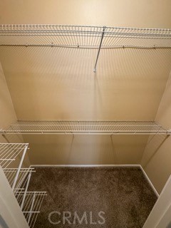 26314 Arboretum 3804