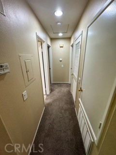 26314 Arboretum 3804