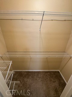 26314 Arboretum 3804