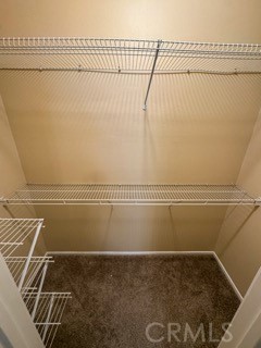 26314 Arboretum 3804