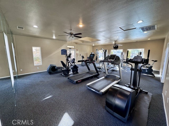 26314 Arboretum 3804