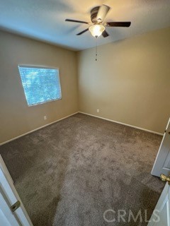 26314 Arboretum 3804