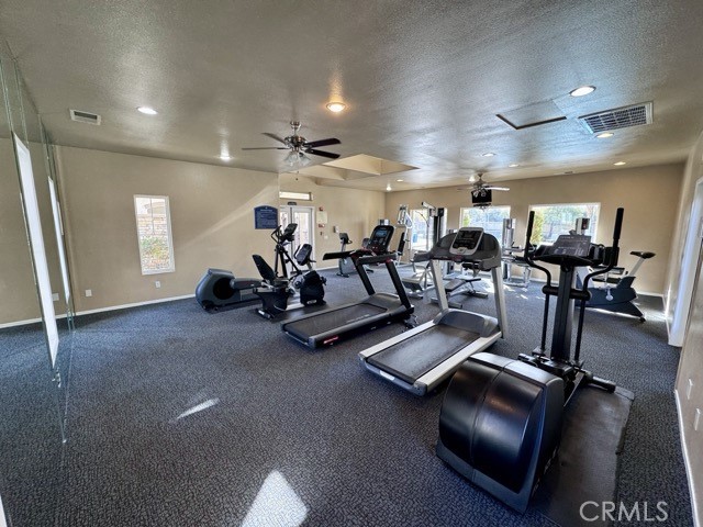 26502 1603 Arboretum