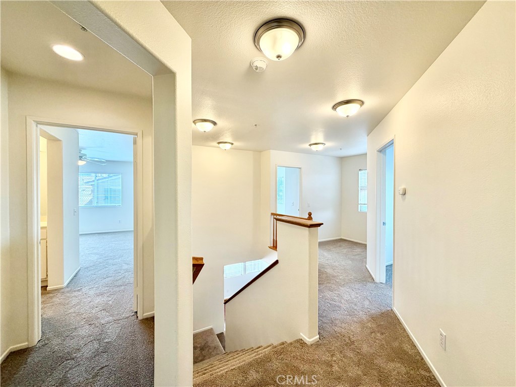 26092 Mayfield Union B