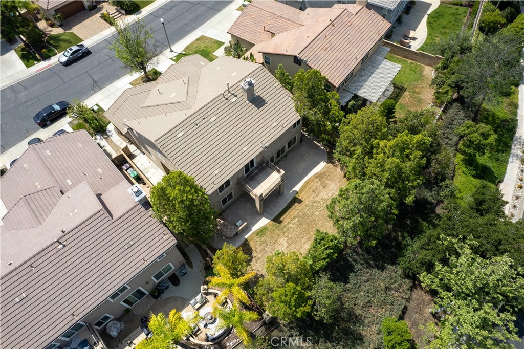 26919 Lemon Grass Way