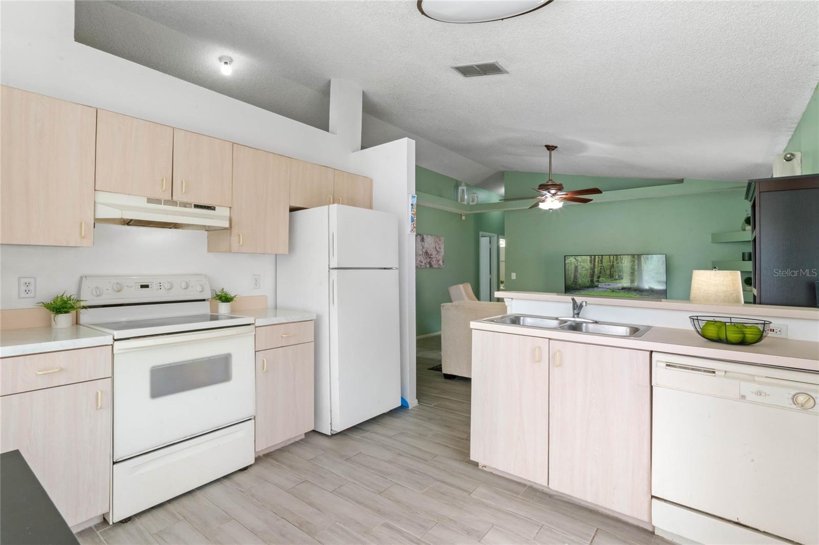 1077 HAMLET DR