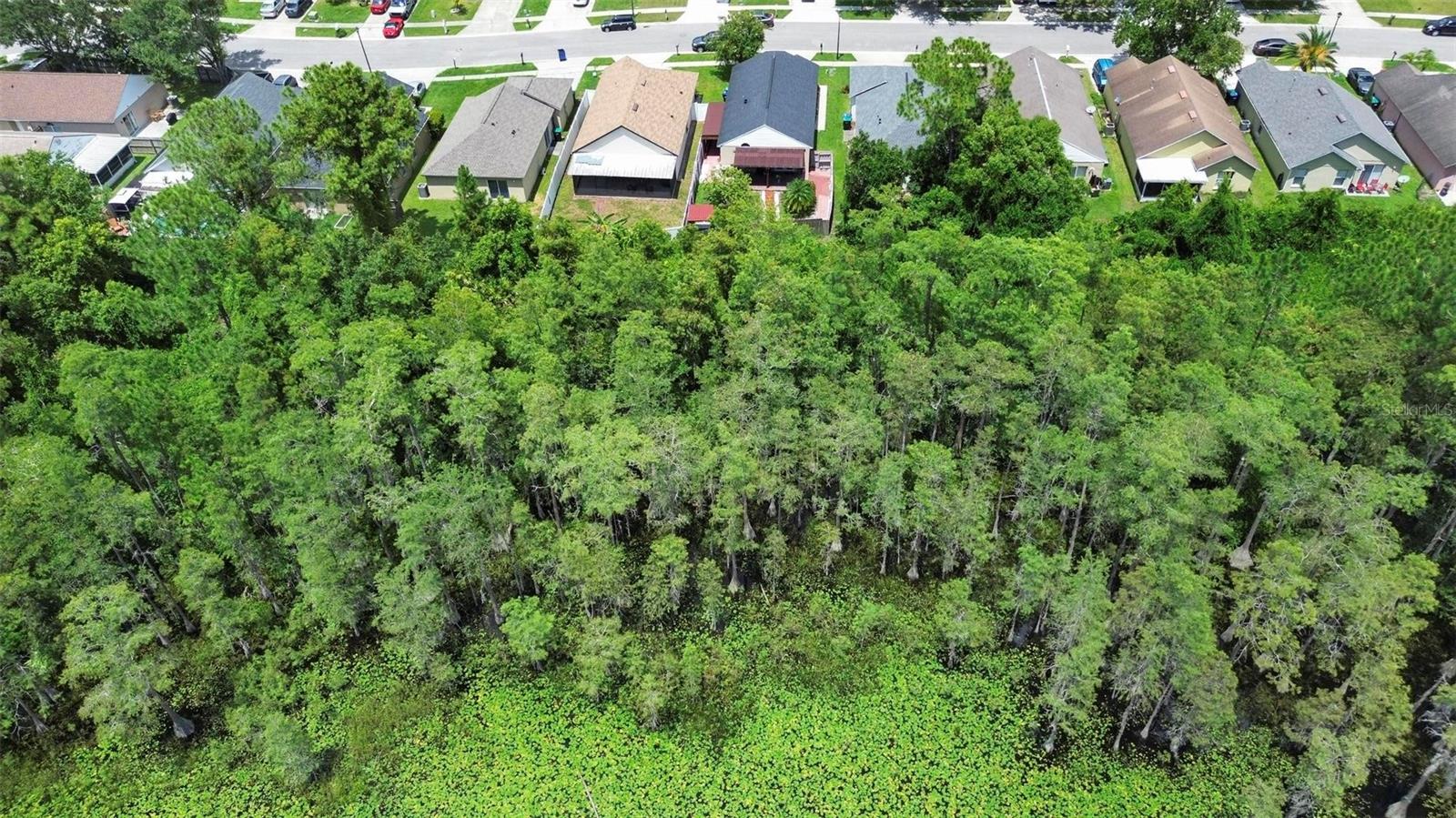 13134 ODYSSEY LAKE WAY
