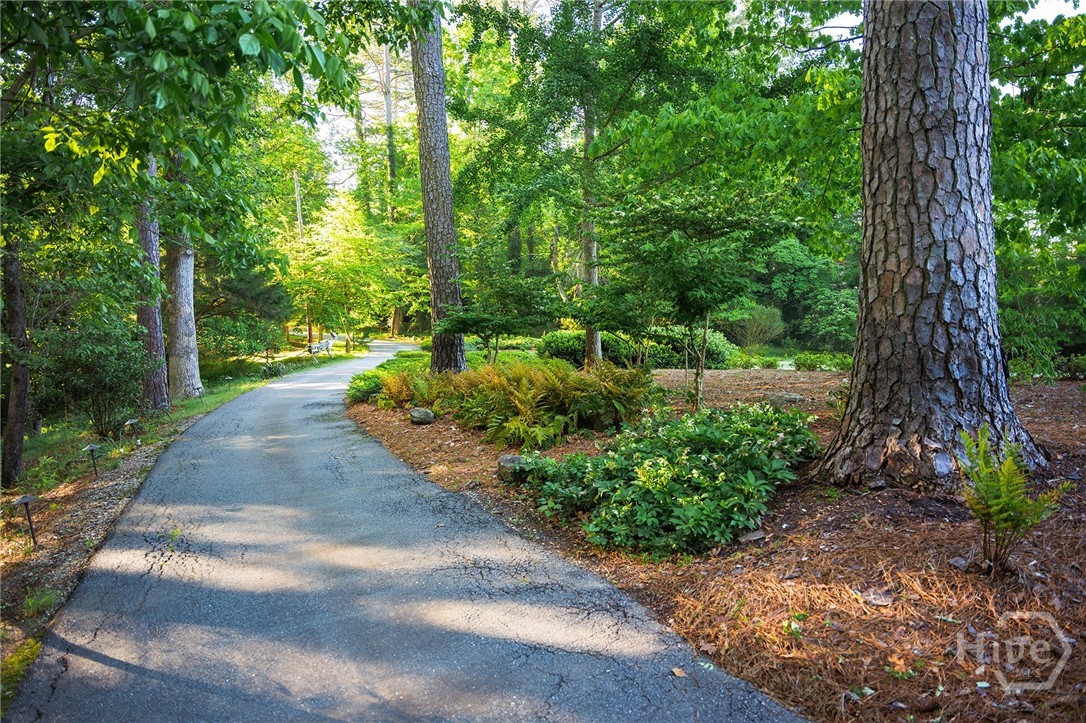 255 Plum Nelly Road