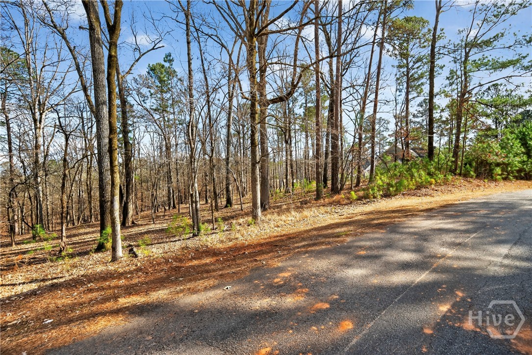 1021 Shadow Creek Way