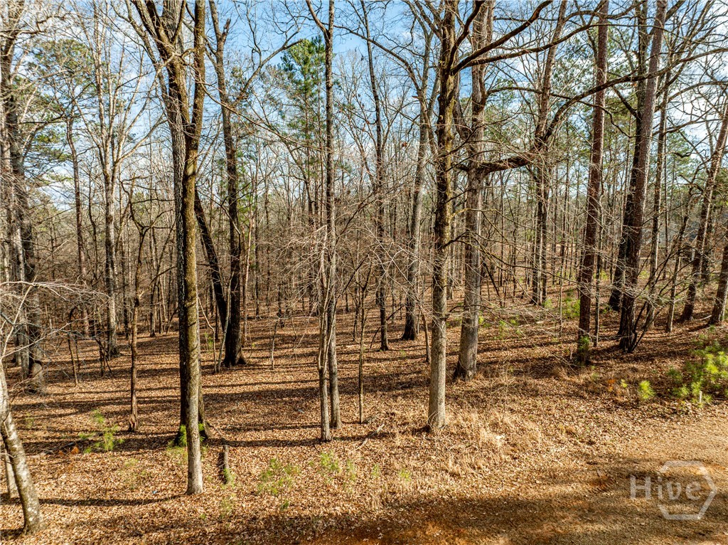 1021 Shadow Creek Way