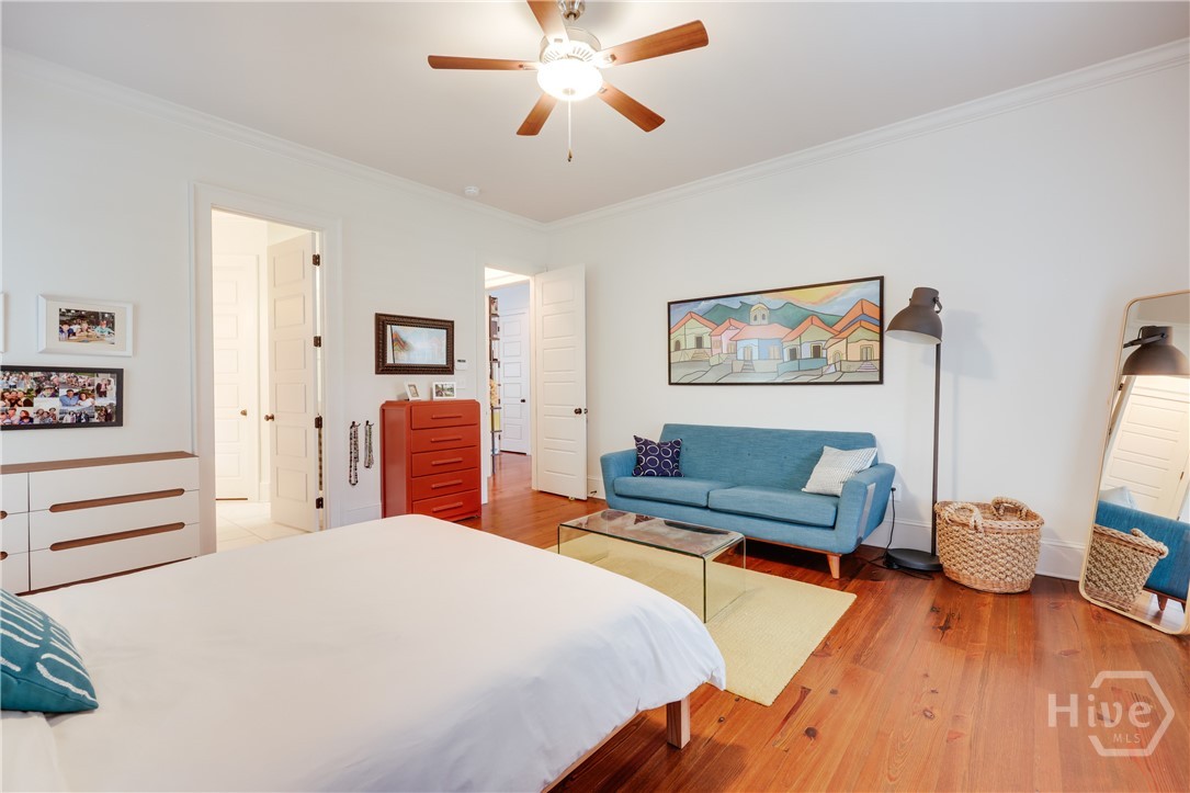 338 Springdale Street