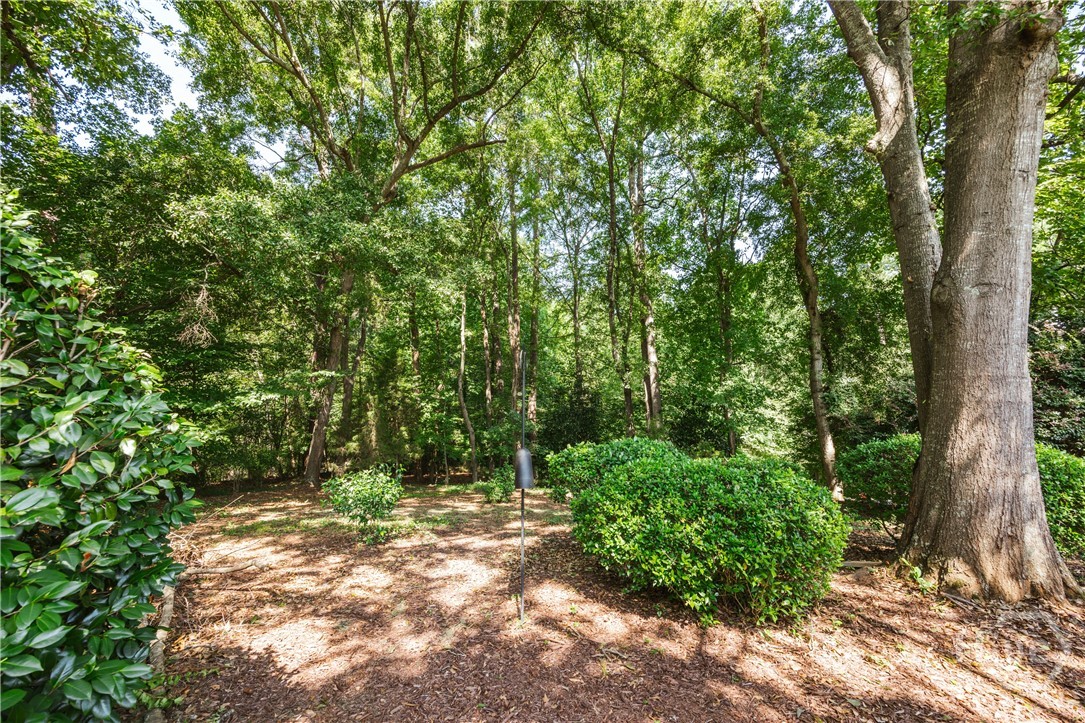 165 Cypress Manor Lane
