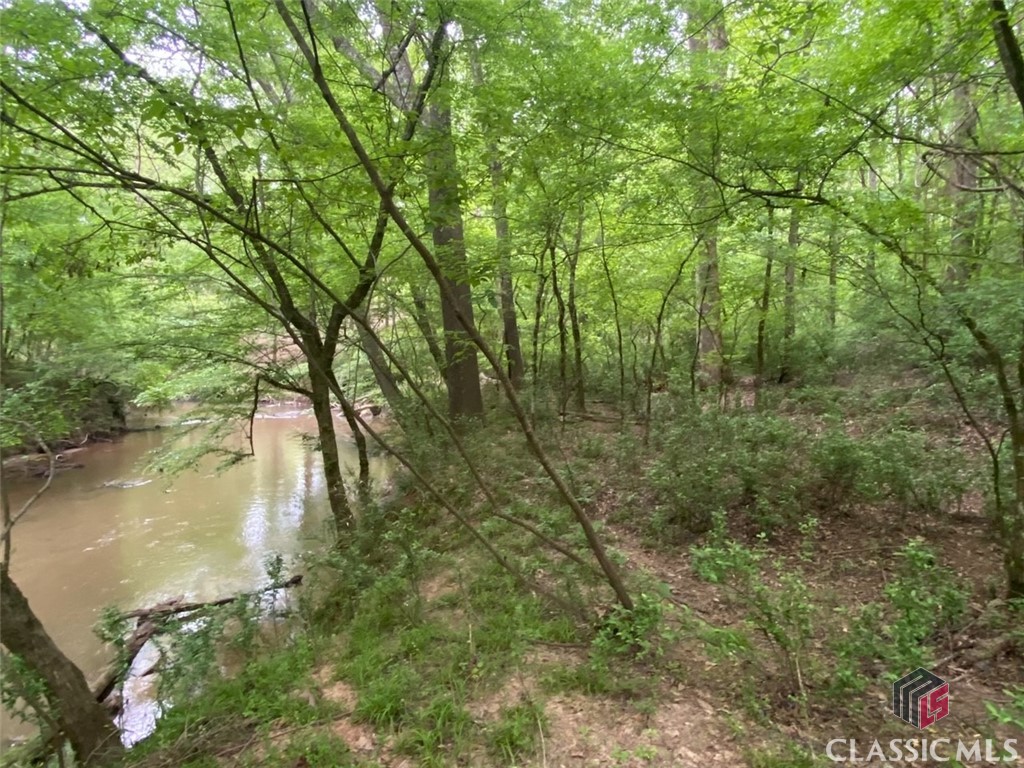 00 Hollyberry Lane